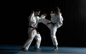 Stage UV2 Jujitsu